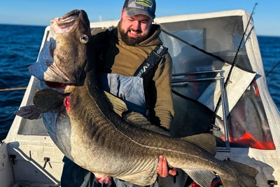 Мурманчане выловили в Баренцевом море гигантскую треску