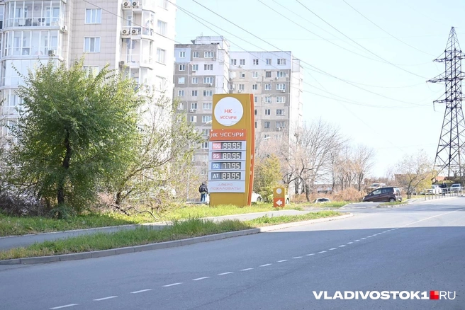 Источник: Елена Буйвол / VLADIVOSTOK1.RU