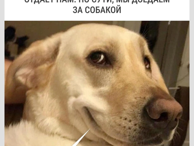 Распределение приоритетов | Источник: Городские медиа