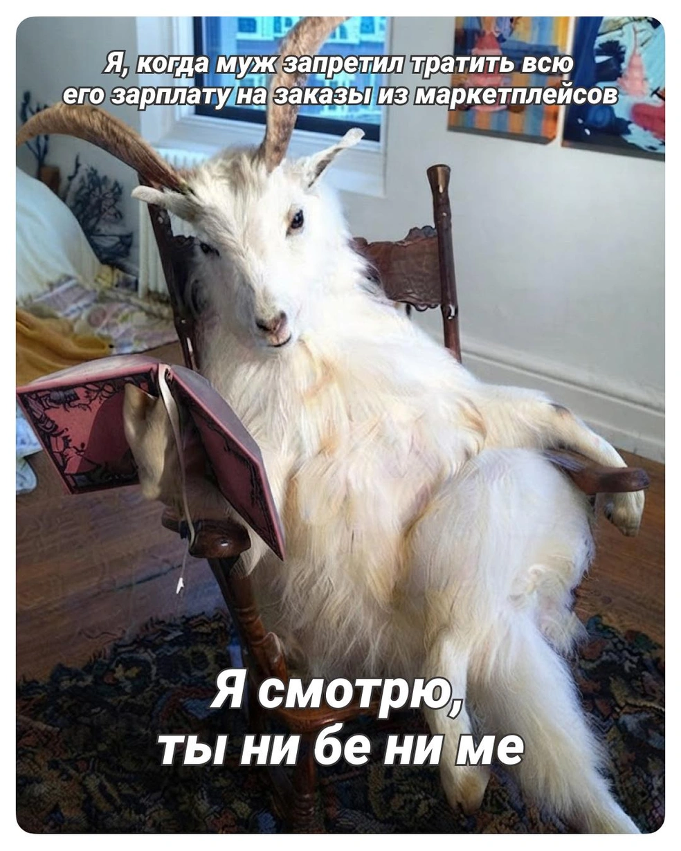 Ничего не знает о финансовой грамотности | Источник: Городские медиа