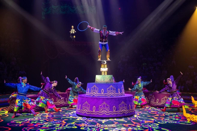 Источник: kazan-circus.ru