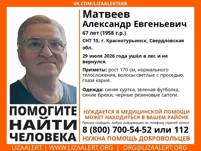 Источник: волонтерский отряд «ЛизаАлерт»