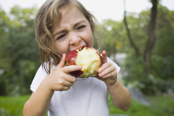 Яблоки и еще 6 фруктов, которые нельзя есть с зернышками