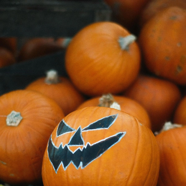 Источник: Unsplash