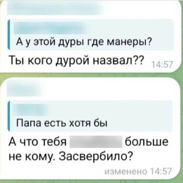 Объяснить, почему она решила разбираться со школьниками в комментариях, а не с их родителями, Олеся не смогла | Источник: предоставлено редакции MSK1.RU