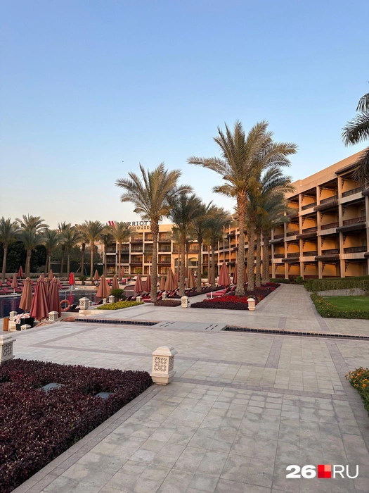 Источник: Габриелла Захарова / 26.RU