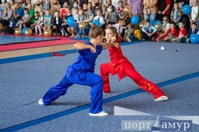 Международный фестиваль по ушу и боксу в Приамурье