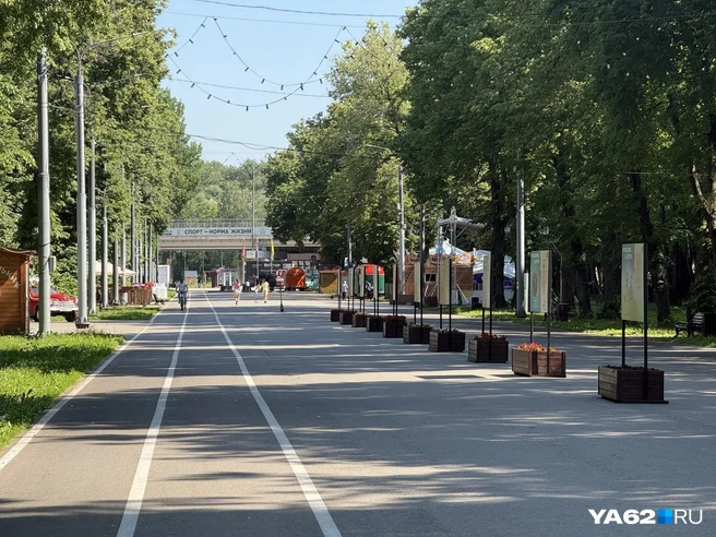 В Рязани пройдет «Большой ореховый забег» (12+) | Источник: Сергей Петунин / YA62.RU