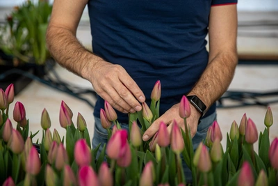 Воронежцы экономят на подарках к 8 Марта