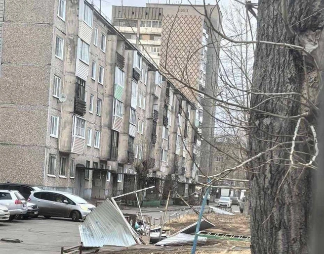 Порывы до 28 метров в секунду. Ураган добрался до Братска | Источник: Александр Дубровин / Telegram