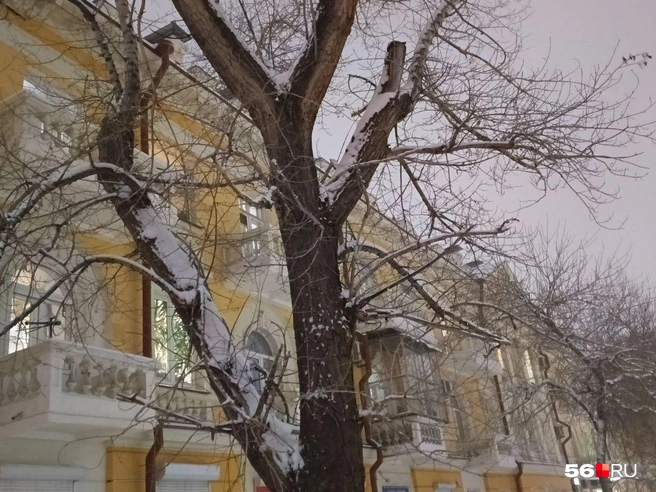 Источник: Анастасия Баринова / 56.RU