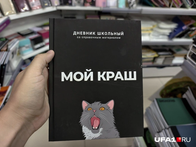 Но выглядит очень креативно | Источник: Булат Салихов / UFA1.RU