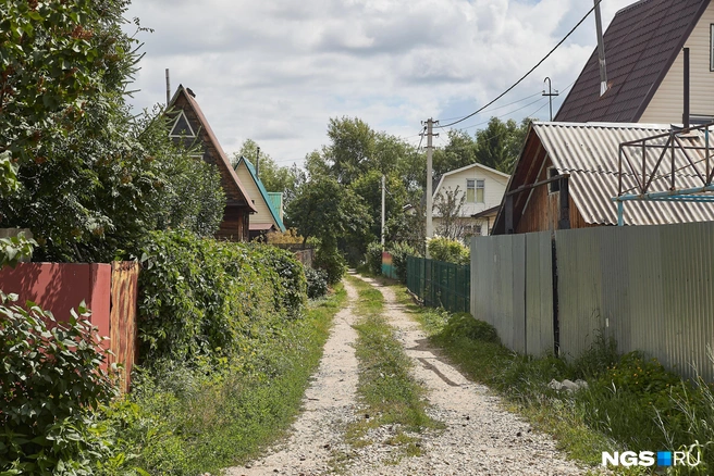 Сбежать летом из города — желание многих горожан | Источник: Александр Ощепков / NGS.RU