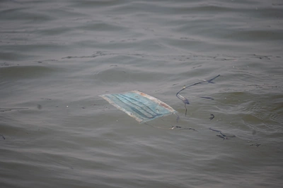 Прокуратура выявила нарушения при перевалке угля в Находке