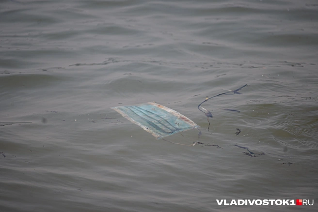 Проверка настигла порты почти сразу | Источник: Елена Буйвол / VLADIVOSTOK1.RU