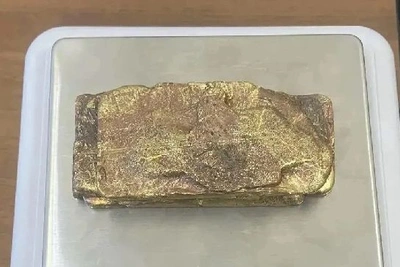 Иностранка с золотыми слитками задержана на таможне в Приамурье