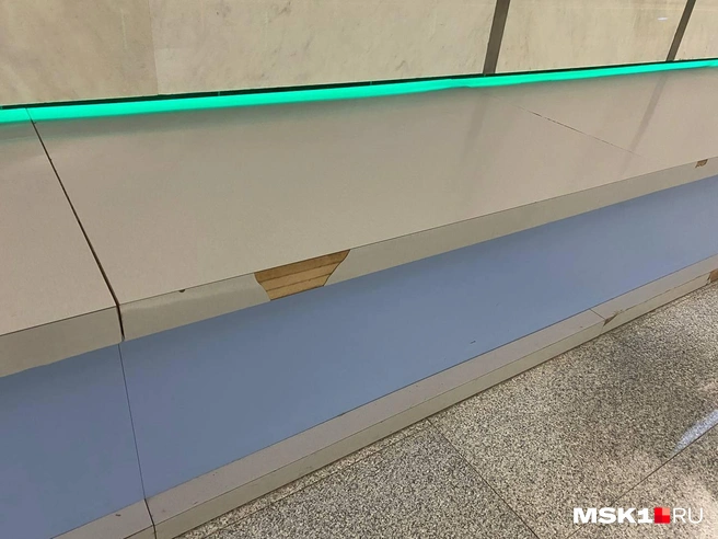 Источник: Гульнара Дахивник / MSK1.RU