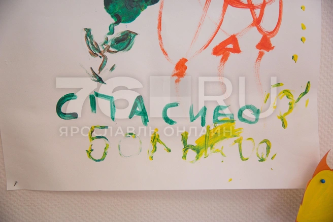 В Алтайском крае усыновили более 60 детей в 2026 году | Источник: Александра Мамонтова / 76.RU