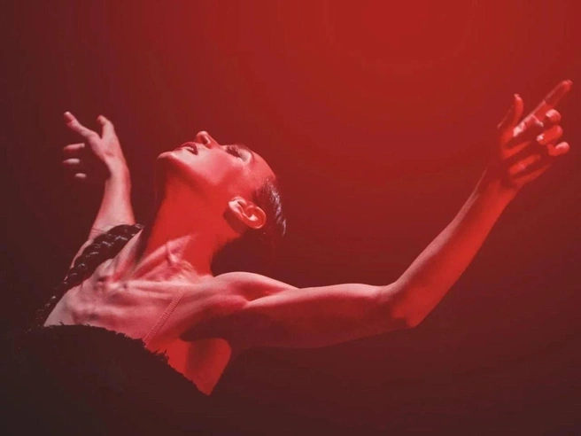 musicAeterna Dance покажет «Стыд» в Эрмитаже | Источник: https://vk.com/musicaeterna
