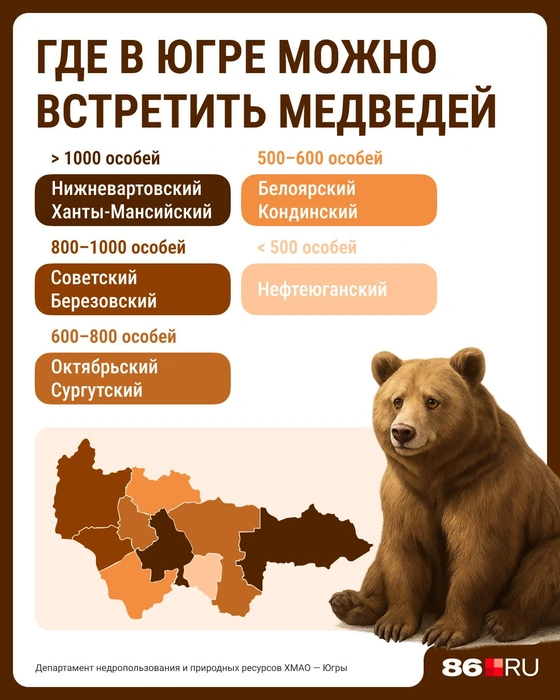 Источник: Серафима Пантыкина / Городские медиа