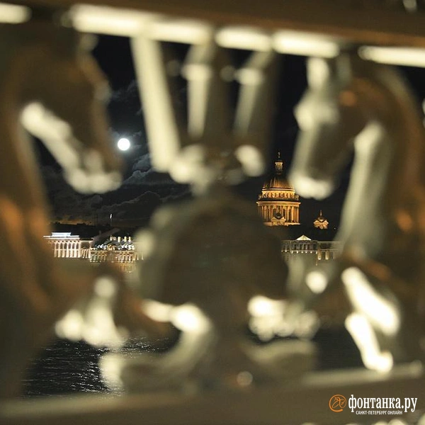 Источник: Сергей Михайличенко / FONTANKA.RU