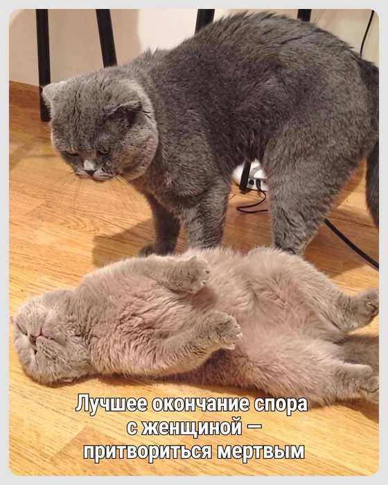 Главное&nbsp;— не спалиться | Источник: Городские медиа
