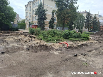 Источник: Алёна Воропаева / Voronezh1.ru