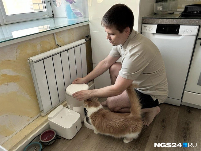 Теперь еда точно будет | Источник: Алексей Тайганавт / NGS24.RU
