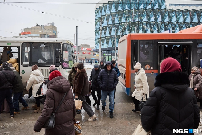 Переходить дорогу приходится между автобусами  | Источник: Александр Ощепков / NGS.RU
