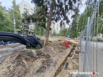 Источник: Алёна Воропаева / Voronezh1.ru