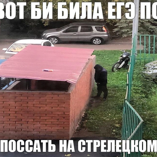 Экзамены близятся | Источник: «Люди которые ссут на Стрелецком» / Vk.com
