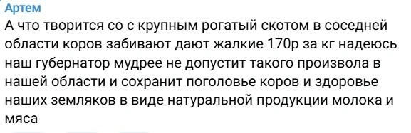 Жители призывают главу региона вмешаться | Источник: чат телеграм-канала Ильи Середюка