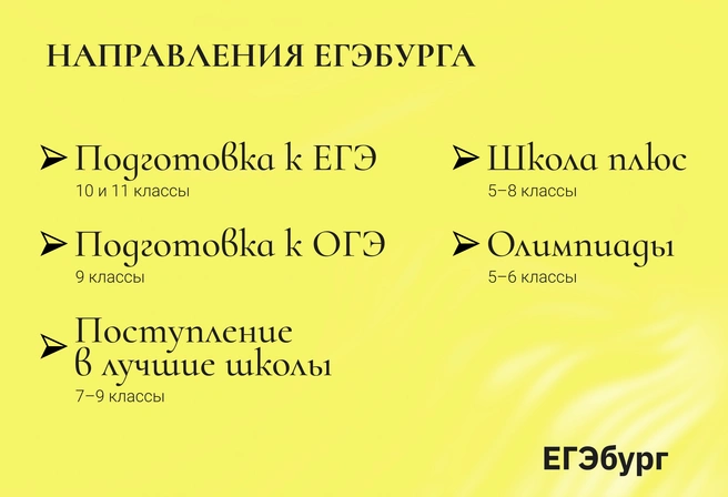 Только лучшие гимназии и лицеи сравнятся с «ЕГЭбургом» по интенсивности, основательности и глубине предметной подготовки для 5–11-х классов | Источник: Ирина Калмыкова