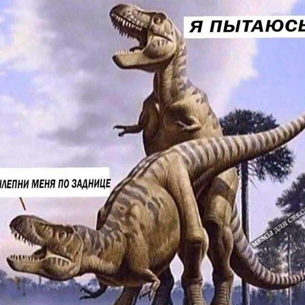 Источник: соцсети