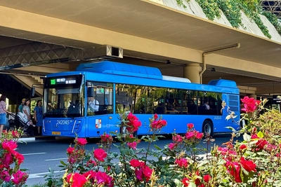 Автобусный маршрут № 105 в Сочи назвали альтернативой экскурсии