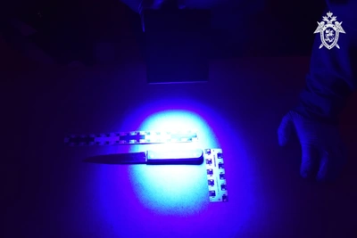 Житель Благовещенска предстанет перед судом за убийство