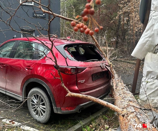 Автомобиль стоял на оборудованной парковке | Источник: читатель 74.RU