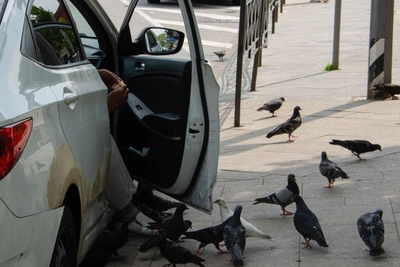 Аферист в Сочи продал арендованный чужой автомобиль