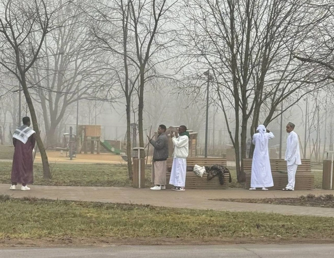 Источник: «Транспортный коллапс. Красное Село»