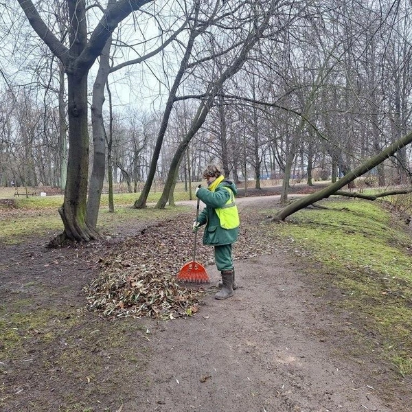 Источник: Комитет по благоустройству Петербурга