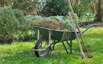 Тачки взлетели: почему в России быть дачником — дорогое удовольствие