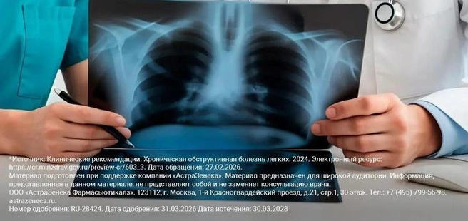 Источник: Ru.freepik.com