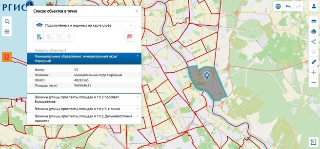 Границы Мо Народный | Источник: скрин РГИС