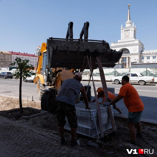 От техники всё же лучше держаться подальше. По крайней мере, пешеходам | Источник: Алексей Волхонский / V1.RU
