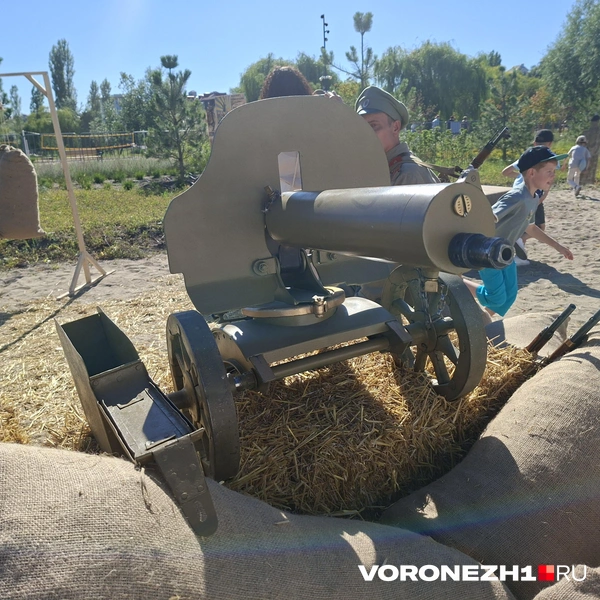 Источник: Алёна Воропаева / Voronezh1.ru