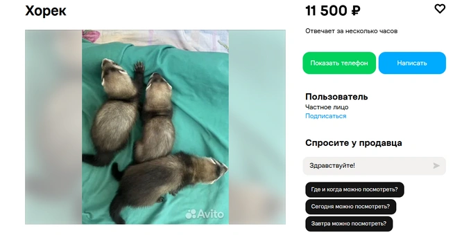 Источник: Авито