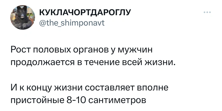 Шутки понедельника и «душня компании»