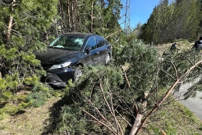 Найден водитель Camry, брошенной в челябинском бору