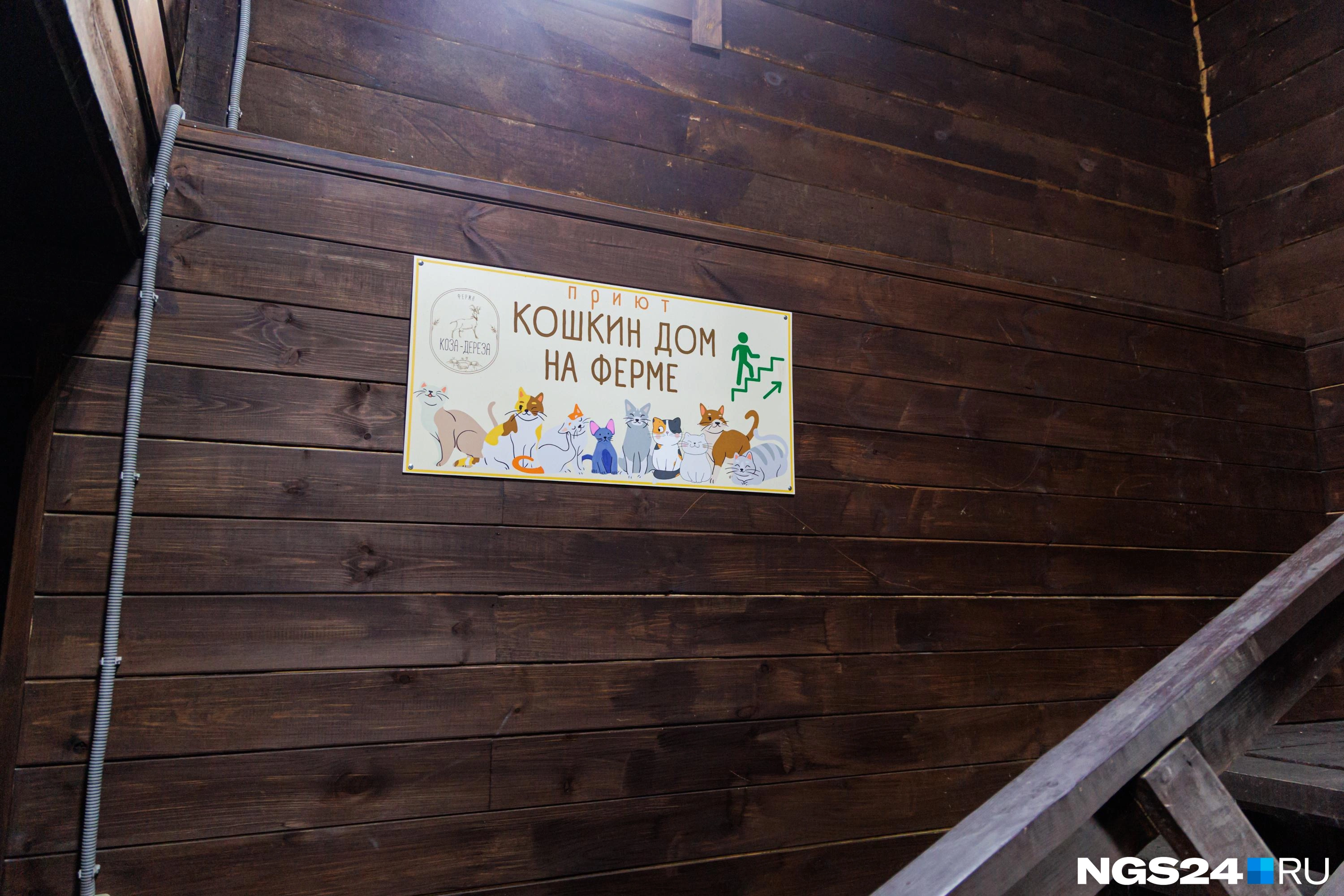 Для кошек выделили целый этаж в хлеву