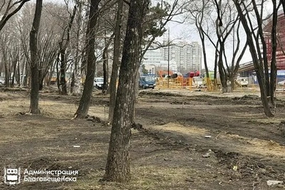 В Благовещенске начали благоустраивать сквер БГПУ